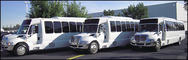 bus fleet