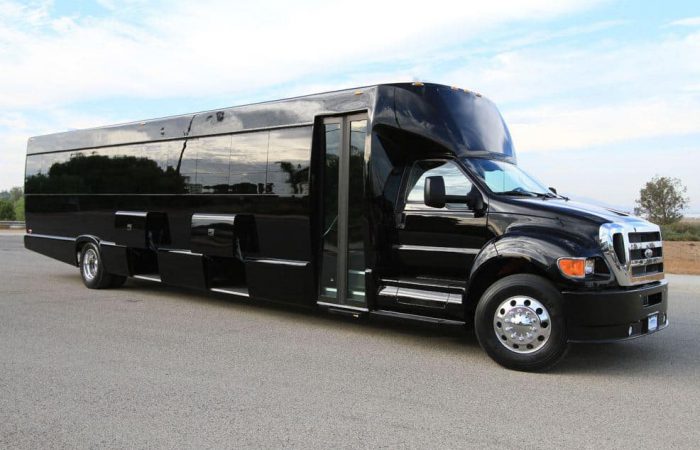 Mini coach rental brooklyn Mini coach rental brooklyn