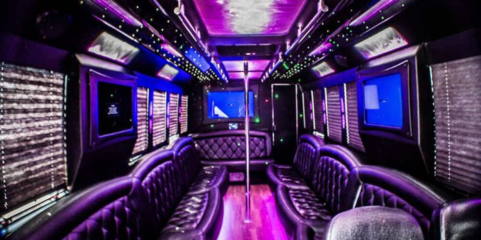 Party bus Bronx